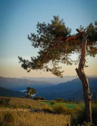 Casa Fonte Fria * 皮同伊斯-达斯-朱尼亚斯